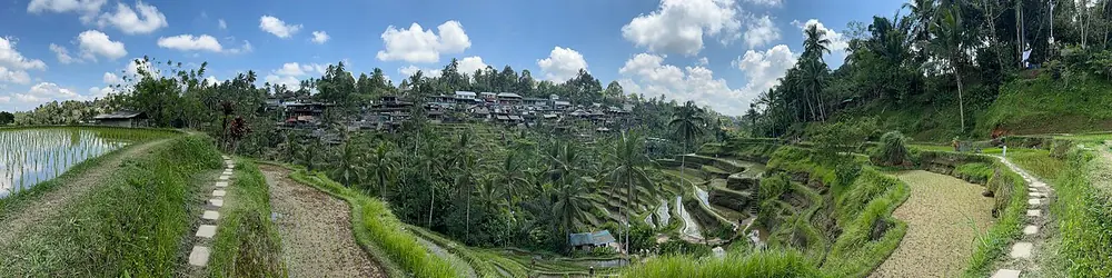 Berangkat subuh, kabutnya masih nempel — Tegallalang Rice Terraces, Kemana aja dari Echo Beach