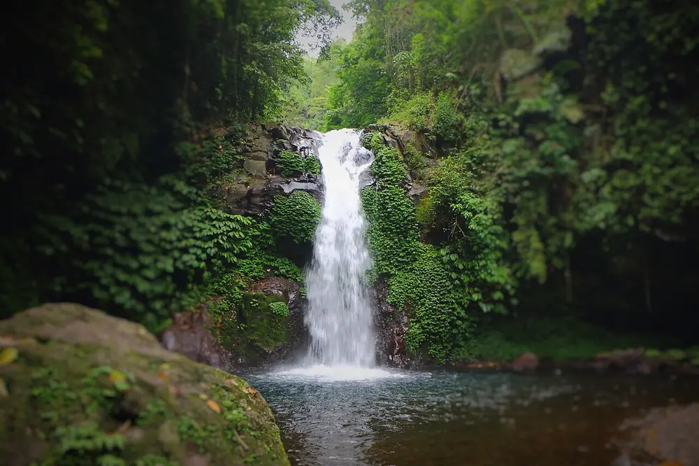 Air terjun klasik di tengah hutan — Chute de Gitgit, Kemana aja dari Kalibukbuk Lovina