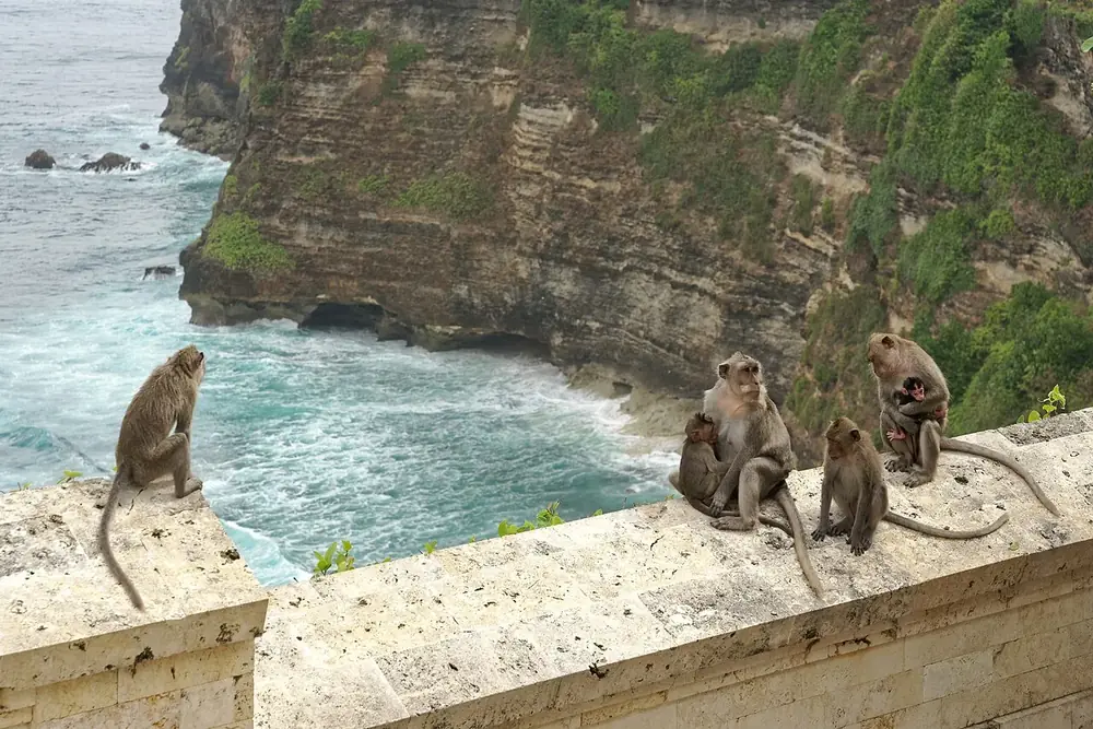 Uluwatu — Hautes falaises et grosses vagues