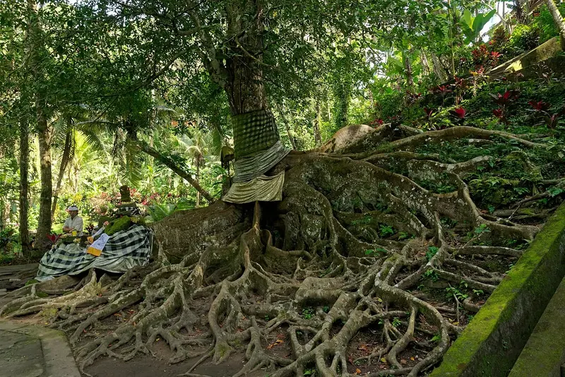 Goa Gajah, the 9th-century cave temple near Lodtunduh, Ubud
