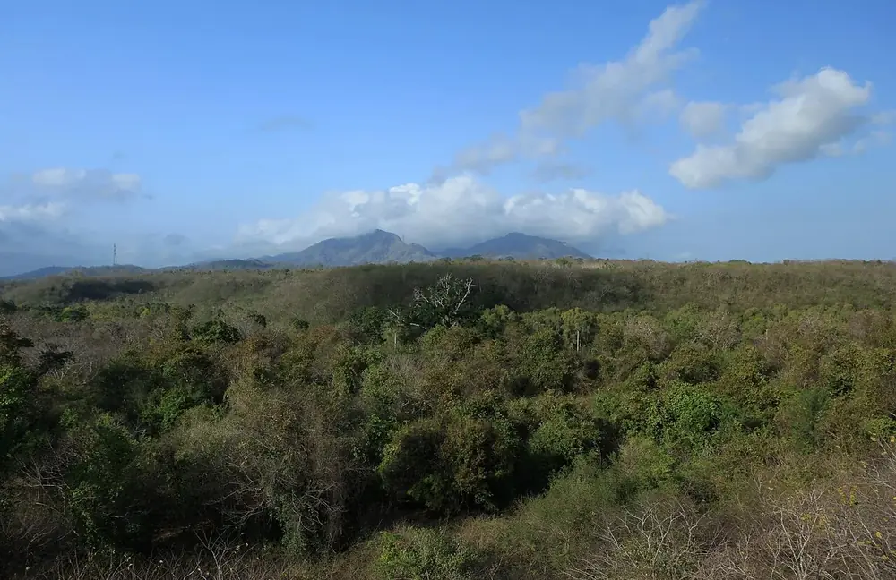 Lewat Gilimanuk, lihat rusa di pinggir jalan — Parc national Bali Barat, Kemana aja dari Medewi