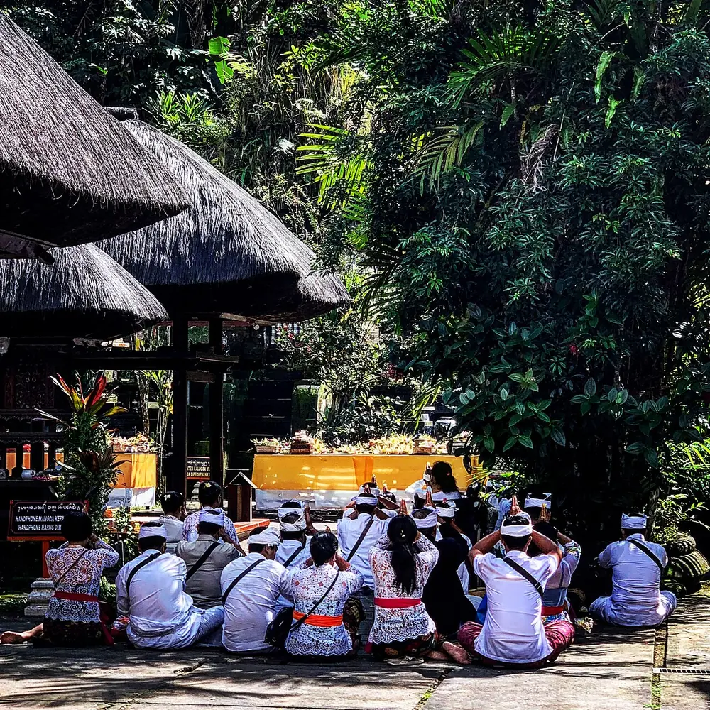 Hutan kabut di kaki gunung — Pura Batukaru, Kemana aja dari Pasut
