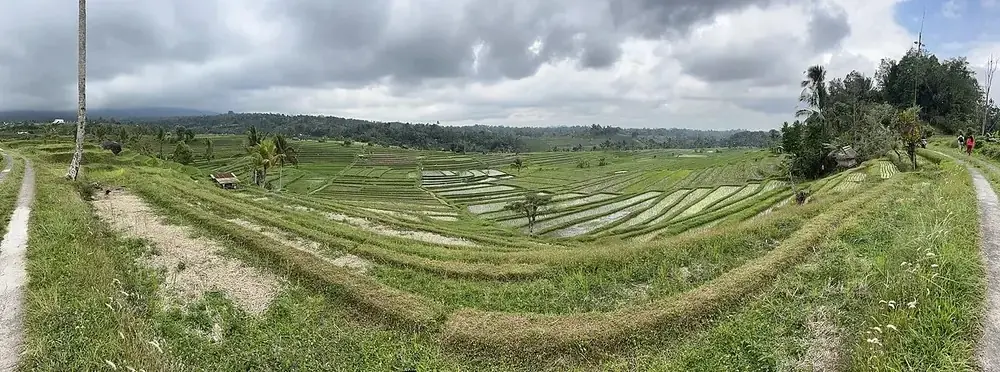 Les plus vastes rizières en terrasses classées UNESCO — Rizières de Jatiluwih, Où rouler depuis Yeh Gangga